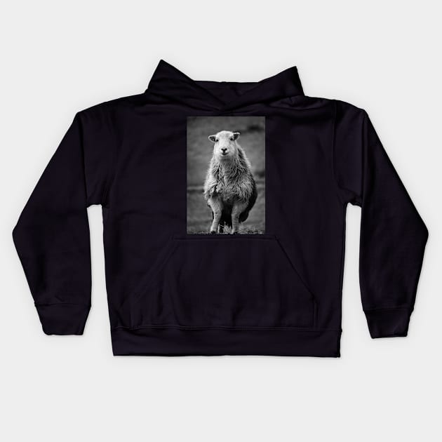 Pleased to see you Kids Hoodie by InspiraImage